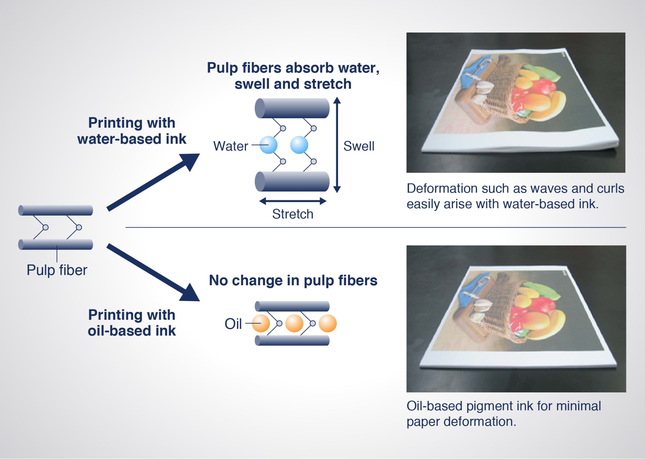 Mechanism of paper deformation